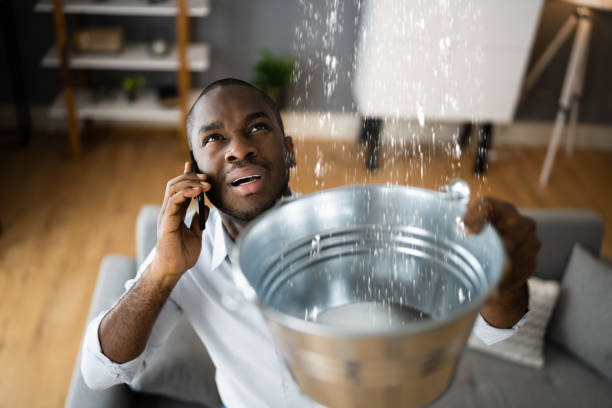 Best Water damage restoration specialists  in Russellville, AL