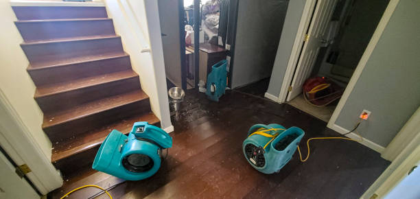 Best Flood restoration services  in Russellville, AL