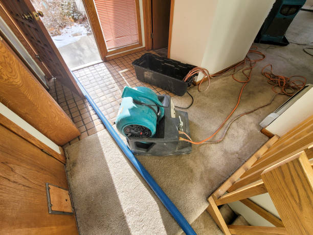 Best 24-hour water damage restoration  in Russellville, AL