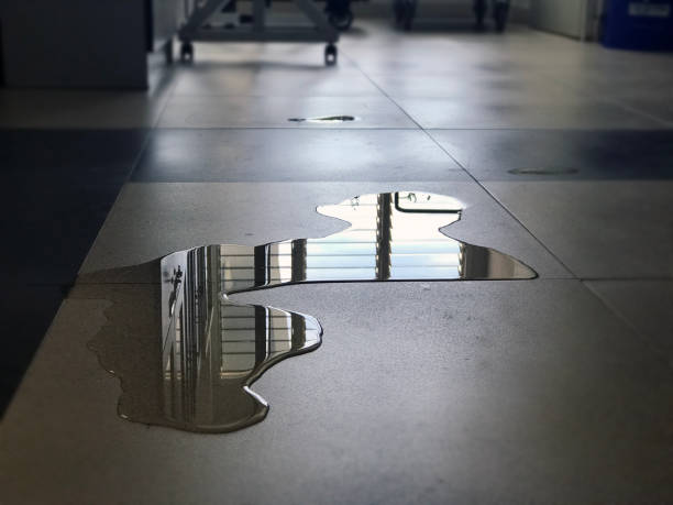 Best 24-hour water damage restoration  in Russellville, AL