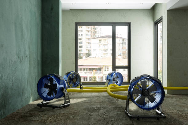 Best Flood restoration services  in Russellville, AL